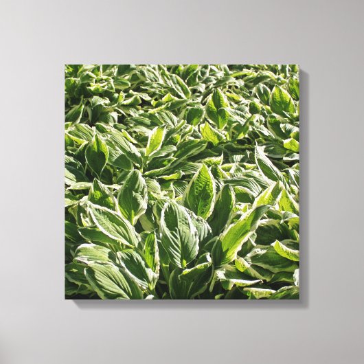 Garden Green Leafy Planten Vaderdag Dad Gift Canvas Afdruk (Voorkant)