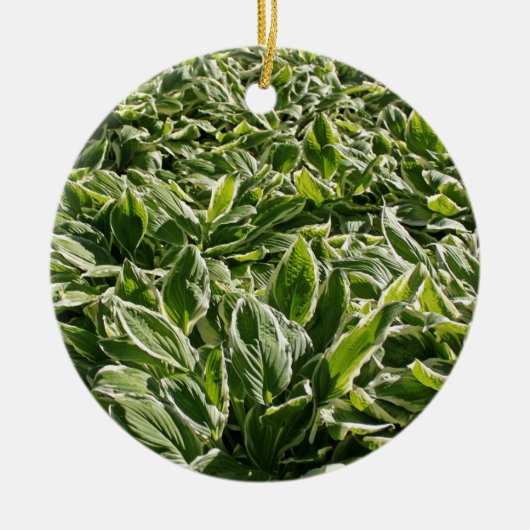 Garden Green Leaves Vaderdag Plant Papa Gift Keramisch Ornament (Voorkant)