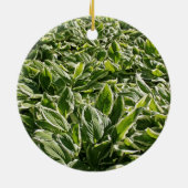 Garden Green Leaves Vaderdag Plant Papa Gift Keramisch Ornament (Achterkant)