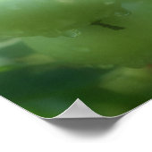 Garden Green Tomates Natuur Poster (Hoek)