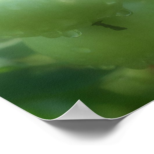 Garden Green Tomates Natuur Poster (Hoek)