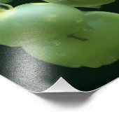 Garden Green Tomatoes Natuur 8x10 Foto Afdruk (Hoek)