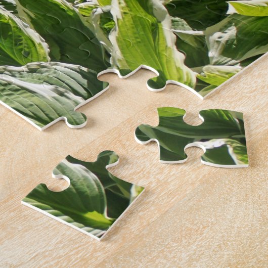 Garden Green White Hosta Planten Summer Spring 202 Legpuzzel (Zijkant)