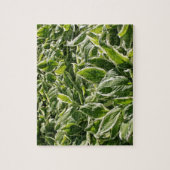 Garden Green White Hosta Planten Summer Spring 202 Legpuzzel (Verticaal)
