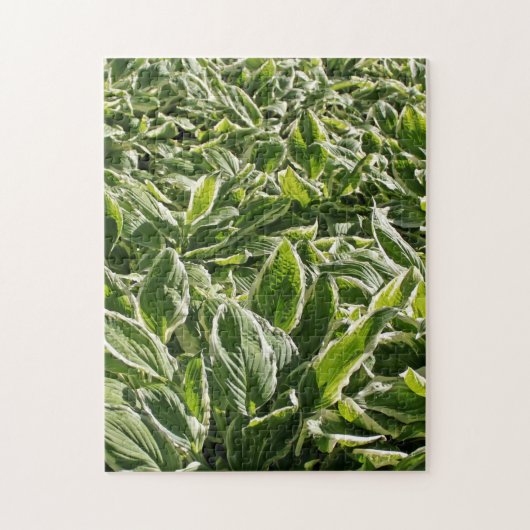 Garden Green White Hosta Planten Summer Spring Coo Legpuzzel (Verticaal)