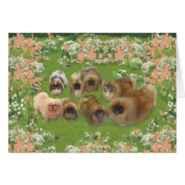 Garden-groep (Voorkant Horizontaal)