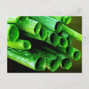 Garden Grown Leeks Briefkaart
