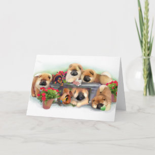 "GARDEN HELPERS"-chow art card Kaart