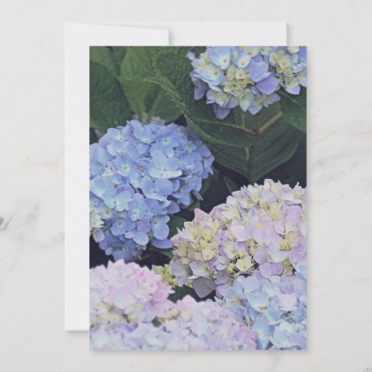Garden Hydrangeas String of Lights Wedding Invite Kaart (Achterkant)