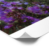 Garden in Giverny door Claude Monet Poster (Hoek)