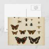 Garden Insects van Vision Studio Briefkaart (Voorkant / Achterkant)