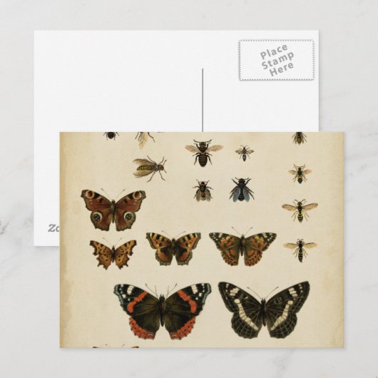 Garden Insects van Vision Studio Briefkaart (Voorkant / Achterkant)