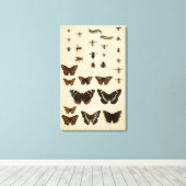 Garden Insects van Vision Studio Canvas Afdruk (Insitu (Houten vloer))