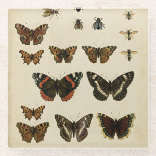 Garden Insects van Vision Studio Glazen Onderzetter