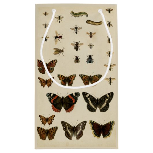 Garden Insects van Vision Studio Klein Cadeauzakje (Achterkant)