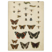 Garden Insects van Vision Studio Klembord (Achterkant)