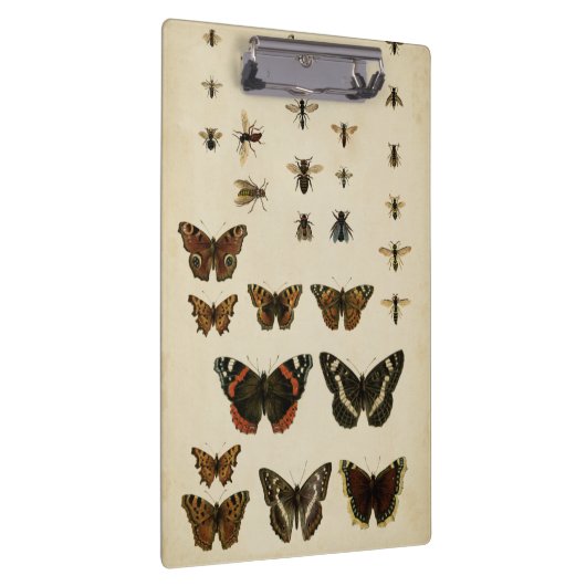 Garden Insects van Vision Studio Klembord (Rechts)