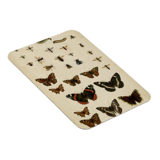 Garden Insects van Vision Studio Magneet (Rechterzijde)