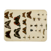 Garden Insects van Vision Studio Magneet (Horizontaal)