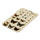 Garden Insects van Vision Studio Magneet (Linkerzijde)