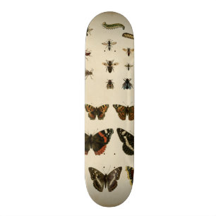 Garden Insects van Vision Studio Persoonlijk Skateboard