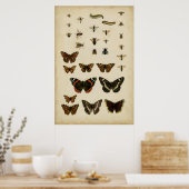 Garden Insects van Vision Studio Poster (Keuken)