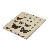 Garden Insects van Vision Studio Tegeltje (Zijkant)