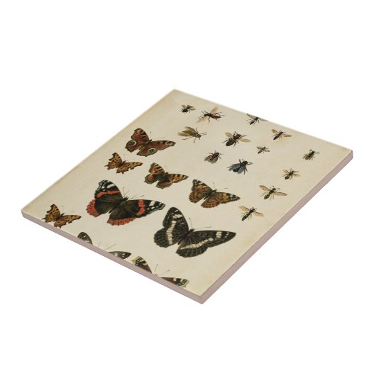 Garden Insects van Vision Studio Tegeltje (Zijkant)