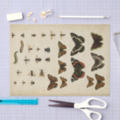 Garden Insects van Vision Studio Tissuepapier (Craft)