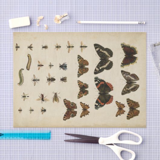 Garden Insects van Vision Studio Tissuepapier (Craft)