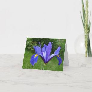 Garden Iris Note Kaart
