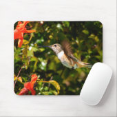 Garden Jewel: Hummingbird in Bloom Muismat (Met muis)