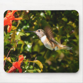 Garden Jewel: Hummingbird in Bloom Muismat