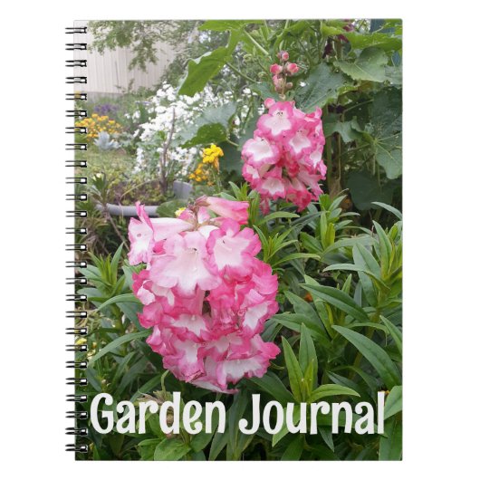 Garden Journal Pink Penstemon Spring Flowers Notitieboek (Voorkant)