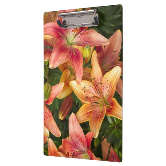 Garden Lilies Klembord (Links)