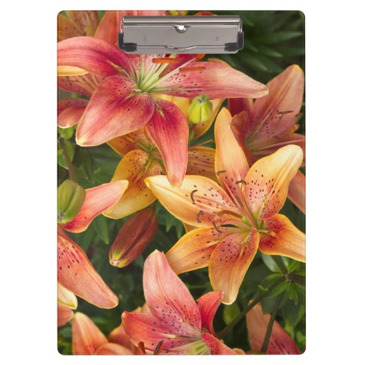 Garden Lilies Klembord (Voorkant)