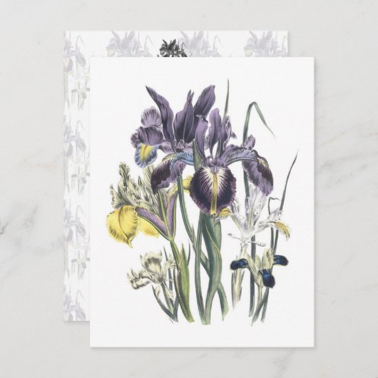 Garden Luncheon Kaart (Voorkant / Achterkant)