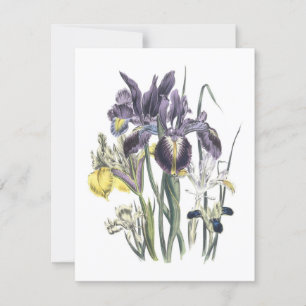 Garden Luncheon Kaart