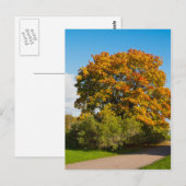 Garden Maple, Briefkaart Sint-Petersburg Rusland (Voorkant / Achterkant)