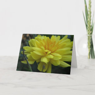 Garden Mum "Get well soon!" Card Kaart