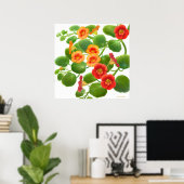 Garden Nasturtium Flowers Print (Thuiskantoor)