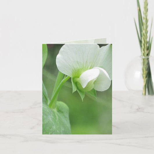 Garden Notecard voor elke gelegenheid Kaart (Voorkant)