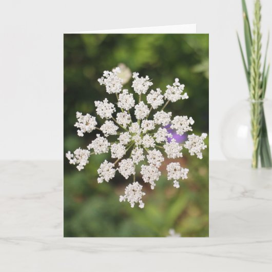 Garden O Weedin Talking Canyons, New Mexico Kaart (Voorkant)