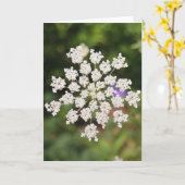 Garden O Weedin Talking Canyons, New Mexico Kaart (Gele Bloem)