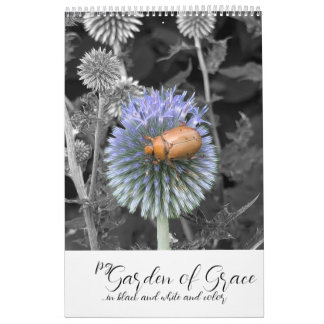Garden of Grace: In Black & White & Color Calendar Kalender