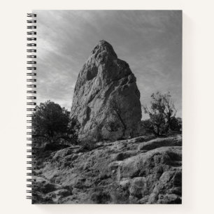 Garden of the Gods Colorado Boulder Notitieboek