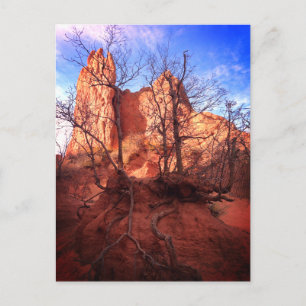 Garden of the Gods Colorado Park Foto Ansichtkaart Briefkaart