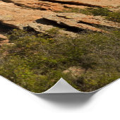 Garden of the Gods Historische Site Poster (Hoek)