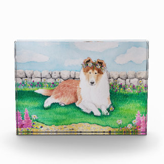 Garden Party Fotoblokken