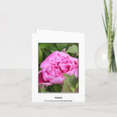 GARDEN PEONY PHOTO FLORAL NOTE CARD NOTITIEKAARTJE (Achterkant)